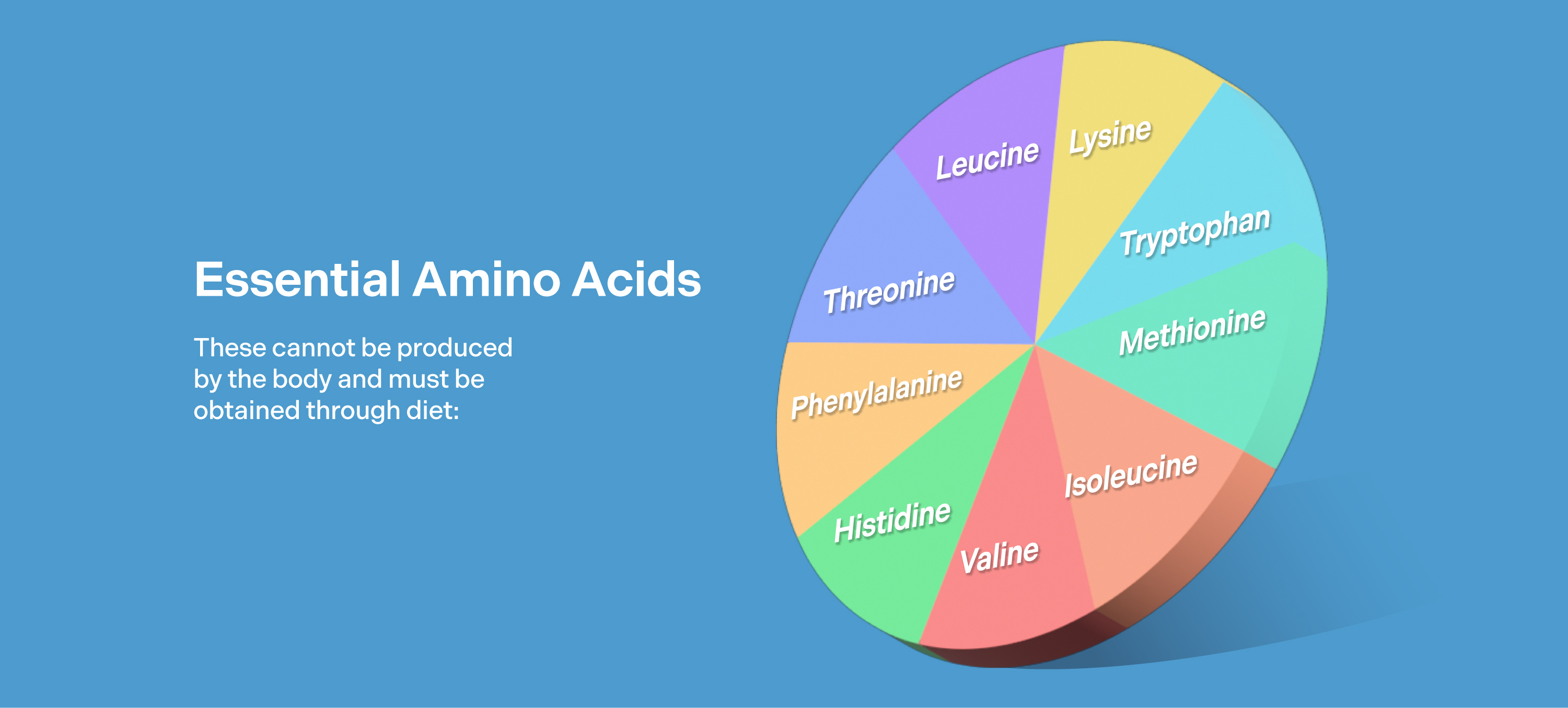 Amino Acids