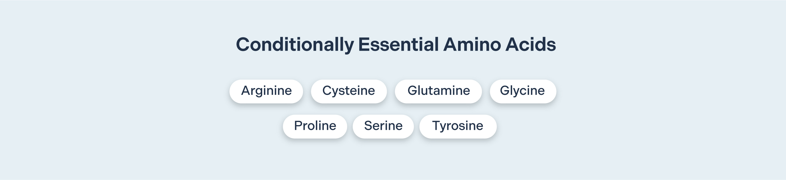 Amino Acids